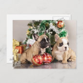 ブルドッグフランスのの子犬とクリスマスのプレゼント シーズンポストカード (正面/裏面)