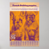 ブルドッグフランスのの子犬の売り涙オフ ポスター (正面)