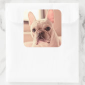 ブルドッグフランスのの子犬 スクエアシール (バッグ)