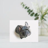 ブルドッグフランスのの子犬 ポストカード (スタンド正面)