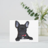 ブルドッグフランスのの子犬 ポストカード (スタンド正面)