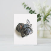 ブルドッグフランスのの子犬 ポストカード (スタンド正面)