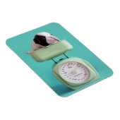 ブルドッグフランスのの子犬 マグネット (右側)