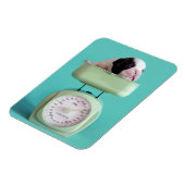 ブルドッグフランスのの子犬 マグネット (左側)