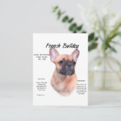 ブルドッグフランスのの歴史デザイン ポストカード (スタンド正面)