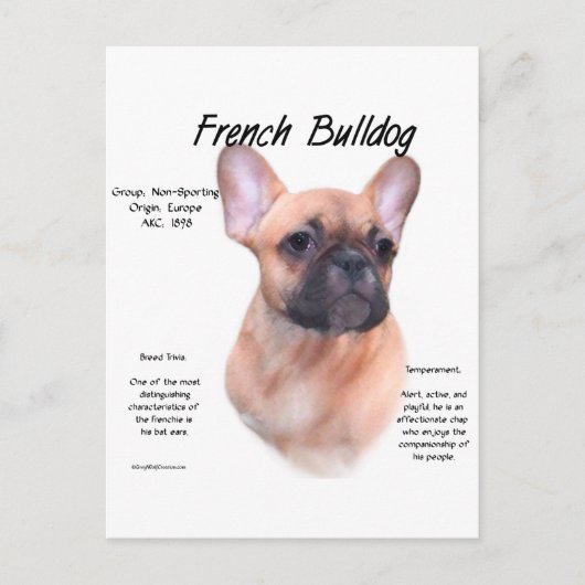 ブルドッグフランスのの歴史デザイン ポストカード (正面)