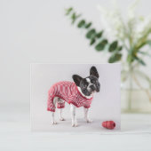 ブルドッグフランスのの美しいポストカード ポストカード (スタンド正面)