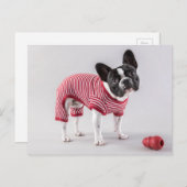 ブルドッグフランスのの美しいポストカード ポストカード (正面/裏面)