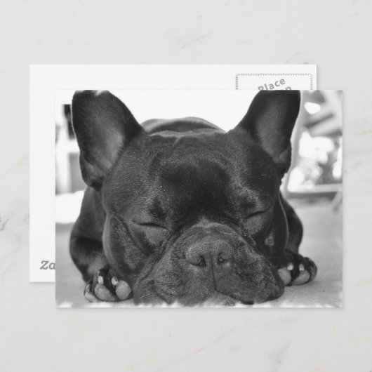 ブルドッグフランスのはがき ポストカード (正面/裏面)