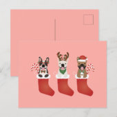 ブルドッグフランスのクリスマスストッキング ポストカード (正面/裏面)