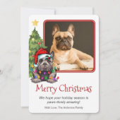 ブルドッグフランスのクリスマスツリーペットドッグワン写真 シーズンカード (正面)