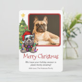 ブルドッグフランスのクリスマスツリーペットドッグワン写真 シーズンカード (スタンド正面)