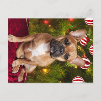 ブルドッグフランスのクリスマスポストカード シーズンポストカード