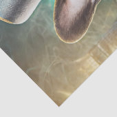 ブルドッグフランスのズ遊トランプのポーカー 薄葉紙 (詳細)