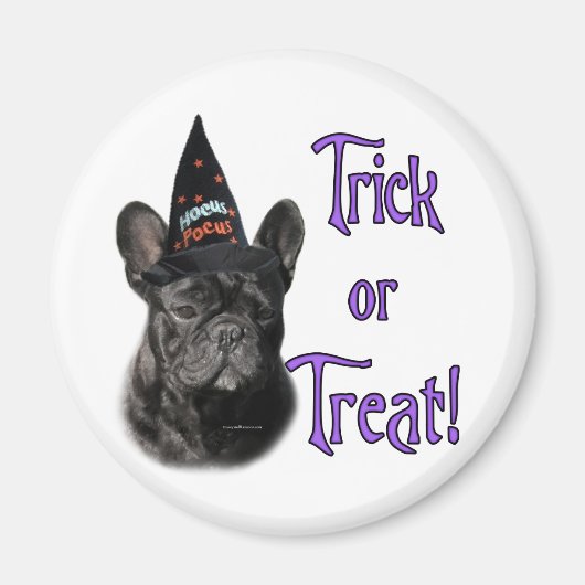 ブルドッグフランスのトリック マグネット (正面)