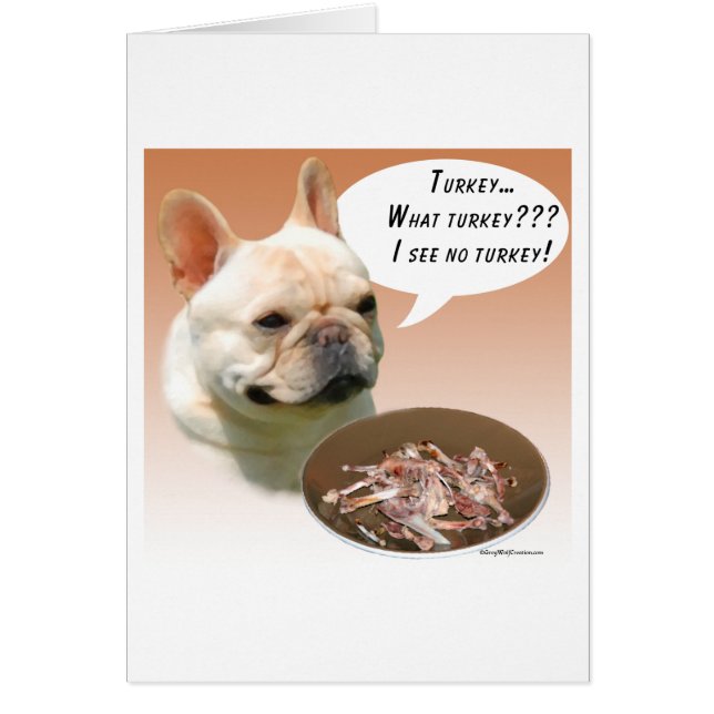 ブルドッグフランスのトルコ (正面)