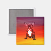 ブルドッグフランスのドッグビーチ マグネット (正面/裏面)