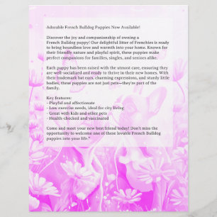 ブルドッグフランスのパピーフライヤー チラシ