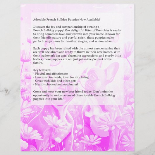 ブルドッグフランスのパピーフライヤー チラシ (裏面)