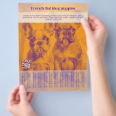 ブルドッグフランスのパピーフライヤー チラシ (手)