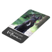 ブルドッグフランスのママが犬の写真を挿入 マグネット (左側)