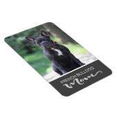 ブルドッグフランスのママが犬の写真を挿入 マグネット (右側)