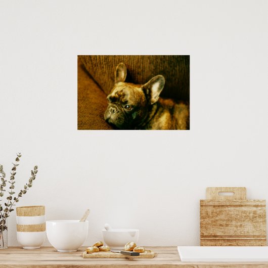 ブルドッグフランスの写真ポスター ポスター (キッチン)