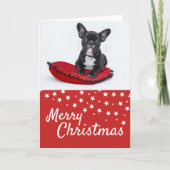 ブルドッグフランスの子犬の写真クリスマスカスタム シーズンカード (正面)