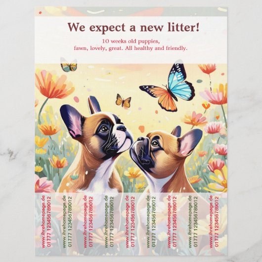 ブルドッグフランスの子犬の子犬 チラシ (正面)