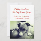 ブルドッグフランスの子犬ミスタルトウ明メリーるい シーズンカード (裏面)