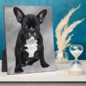 ブルドッグフランスの座って水彩油絵 フォトプラーク (側面)