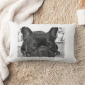 ブルドッグフランスの枕 ランバークッション (ブランケット)