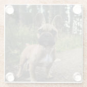 ブルドッグフランスの装飾用クッション ガラスコースター (裏面)