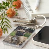 ブルドッグフランスの装飾用クッション キーホルダー (正面右)