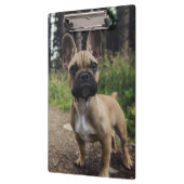 ブルドッグフランスの装飾用クッション クリップボード (左)