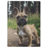 ブルドッグフランスの装飾用クッション クリップボード (裏面)