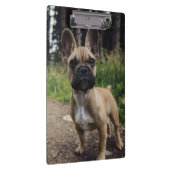 ブルドッグフランスの装飾用クッション クリップボード (右)