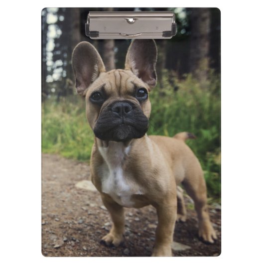 ブルドッグフランスの装飾用クッション クリップボード (正面)