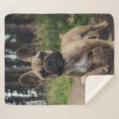 ブルドッグフランスの装飾用クッション シェルパブランケット (正面(横))