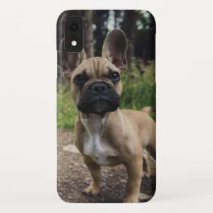 ブルドッグフランスの装飾用クッション iPhone XRケース