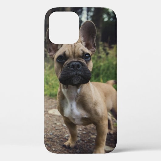 ブルドッグフランスの装飾用クッション Case-Mate iPhoneケース (裏面)