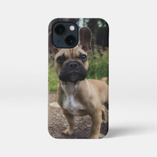 ブルドッグフランスの装飾用クッション iPhone 13 MINIケース