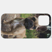 ブルドッグフランスの装飾用クッション iPhoneケース (裏面横)
