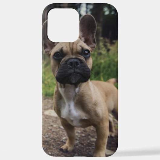 ブルドッグフランスの装飾用クッション iPhoneケース (裏面)