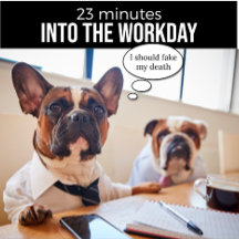 ブルドッグフランスのTシャツを偽物にすべきよ