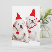 ブルドッグ小妖精や小人 (スタンド正面)