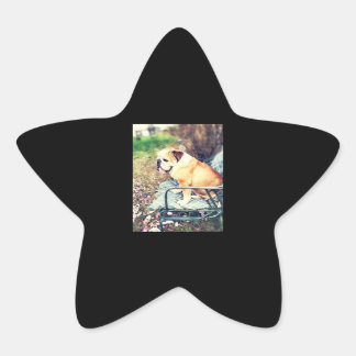 ブルドッグ愛好家への贈り物 |悲しいドッグデザイン 星シール