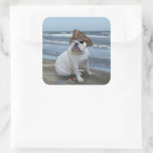 ブルドッグ海賊 スクエアシール (バッグ)