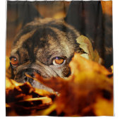 ブルドッグ犬かわいい英語ブルドッグ恋人ギフト シャワーカーテン (正面)