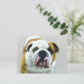 ブルドッグ絵画ズ – かわいいオリジナルドッグアート ポストカード (スタンド正面)